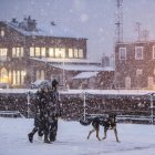 Tormenta invernal en Boston - Imagen de Archivo