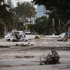 Árboles caídos y daños materiales tras los devastadores efectos del HURACÁN HELEN