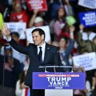 Marco Rubio en un rally de Trump en octubre del 2024. (Photo by ANGELA WEISS / AFP)