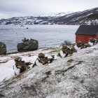 Ejercicios militares de la OTAN en Noruega