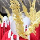 Varios cardenales, durante la procesión del Domingo de Ramos en el Vaticano.