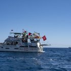 Flotilla de Gaza