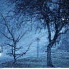 Nieve cae el lunes por la tarde en Shoreview, Minnesota, el 12 de diciembre de 2013.