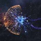 Neuroprotección, ilustración