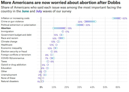 encuesta ipsos sobre preocupación por el aborto