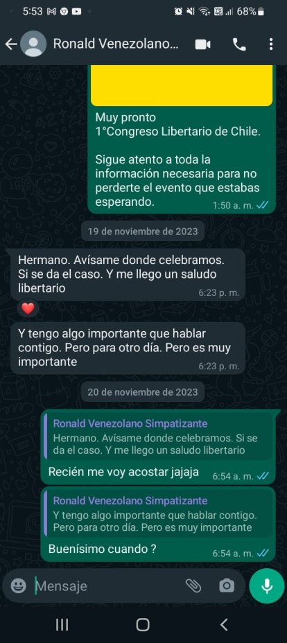 Captura de pantalla de un mensaje del coordinador nacional del Partido Libertario de Chile con Ronald Ojeda.