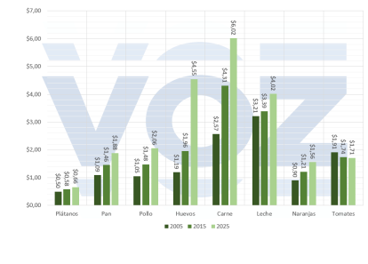 Evolución de los precios de los productos básicos desde 2005