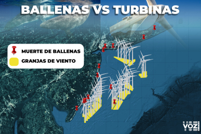 mapa-ballena