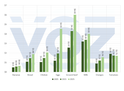 Evolution of commodity prices since 2005.
