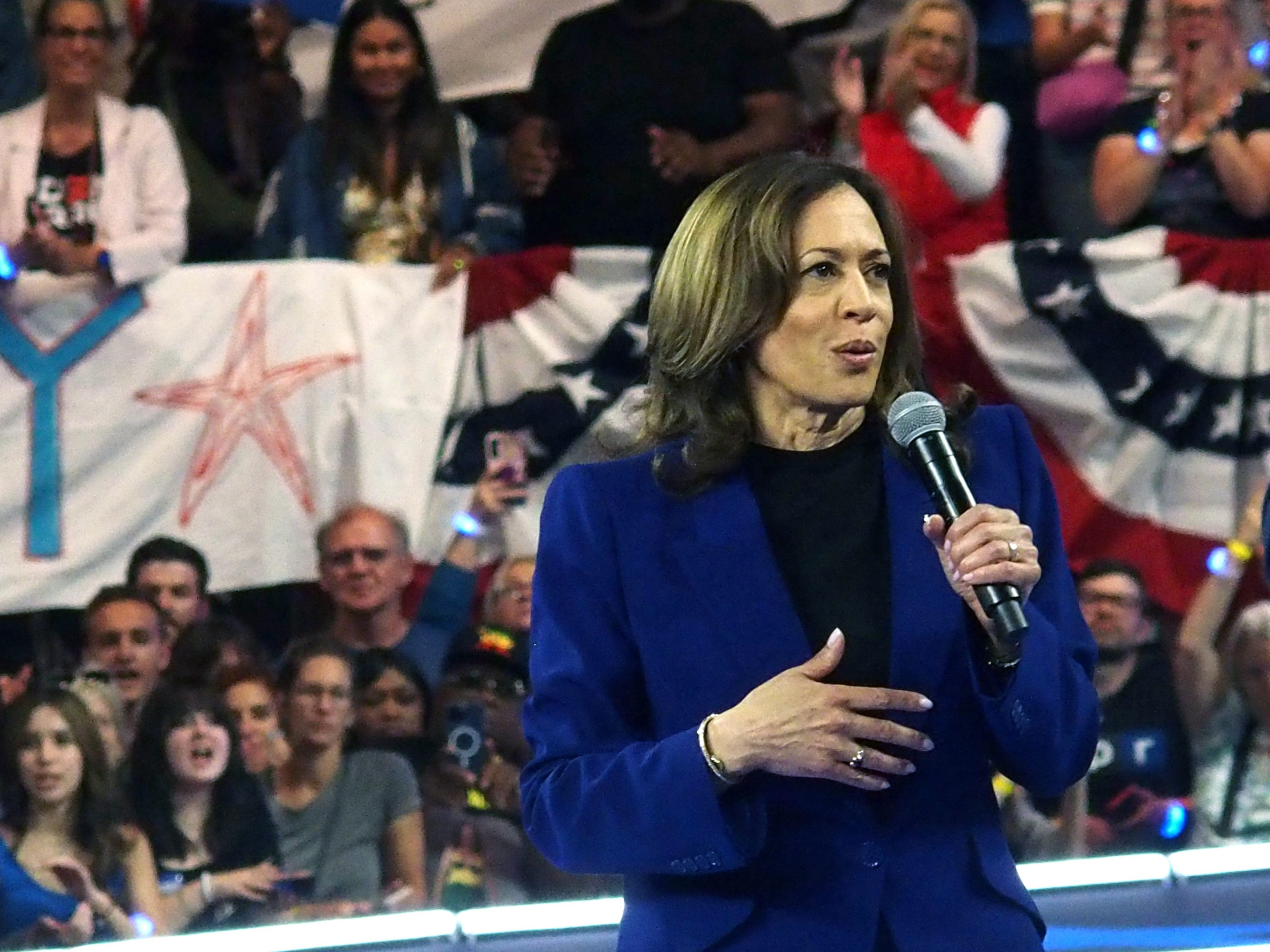 Kamala Harris Campaign Platform 2024 Danya Melisent