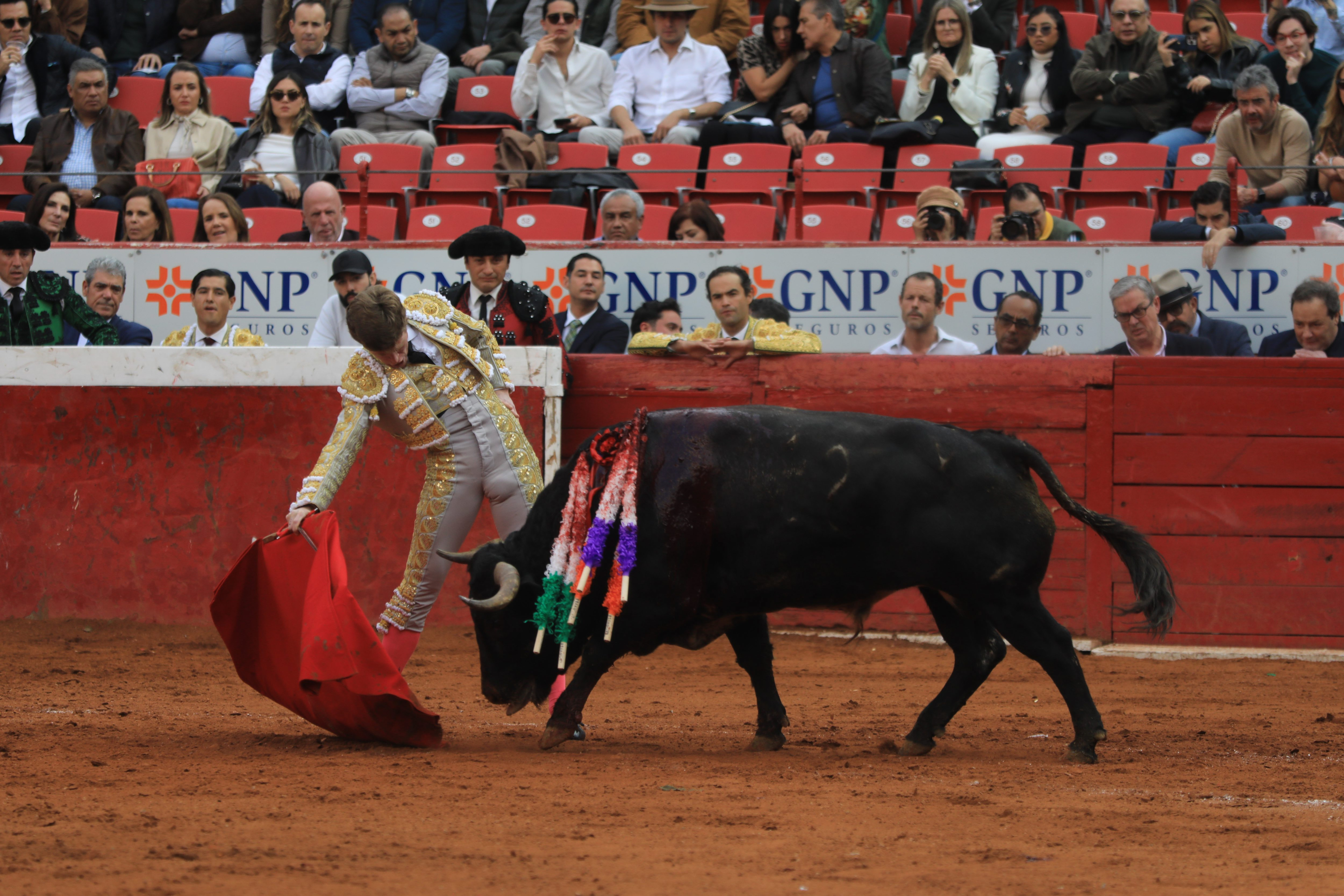Mexico, the country with the world's largest bullring, bans the killing ...