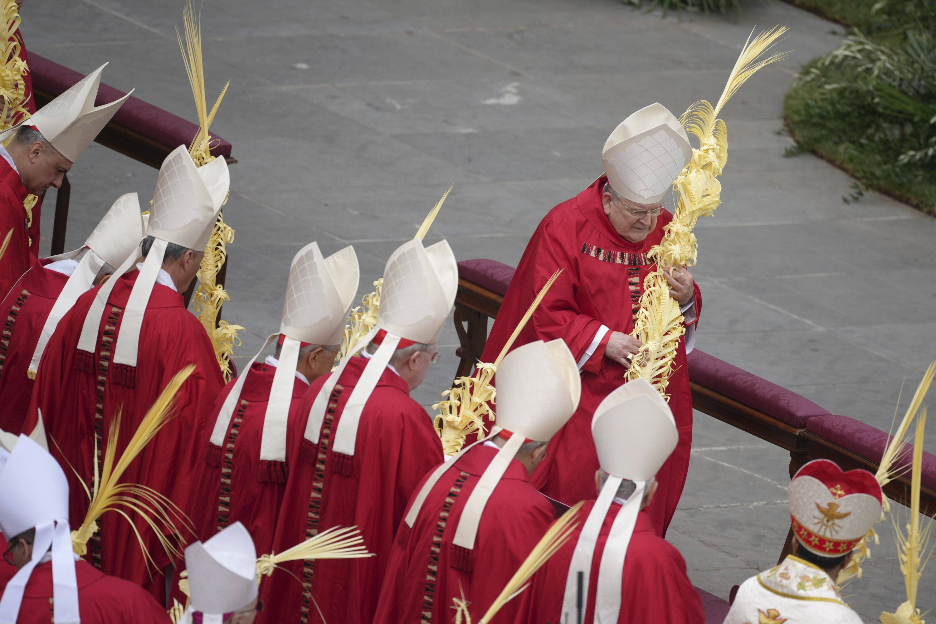 Burke 'Trump's pope' returns to the Vatican to take part in the Conclave