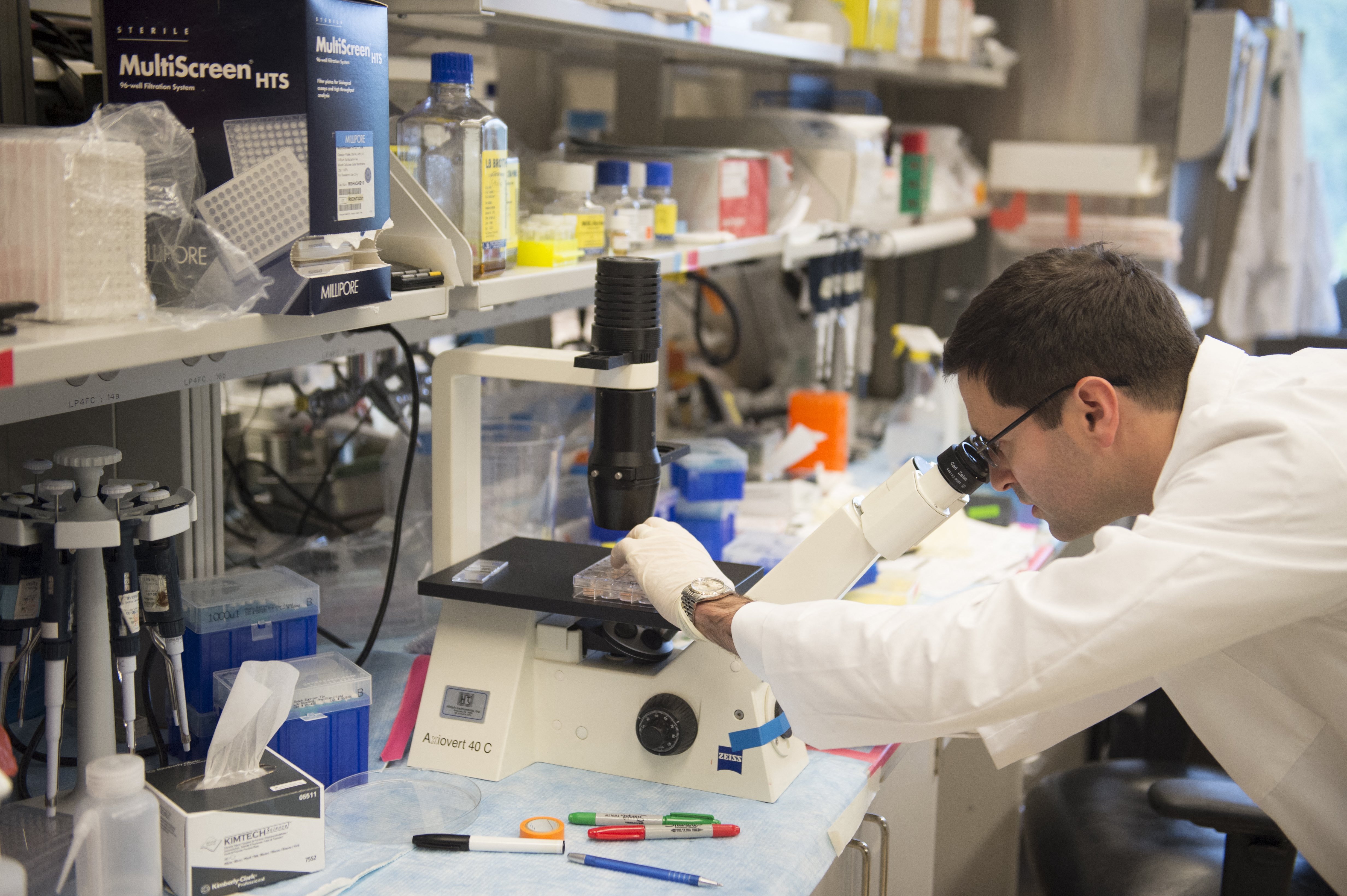 Breakthrough in cell signaling may enable smarter cancer drug design